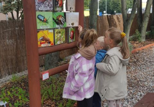 Dzieci oglądają obrazki owadów.
